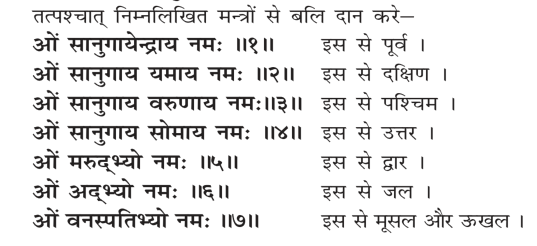 Bali Vaishwa Dev - Ways to do yagya by Dayanand Saraswati in Sanskar Vidhi