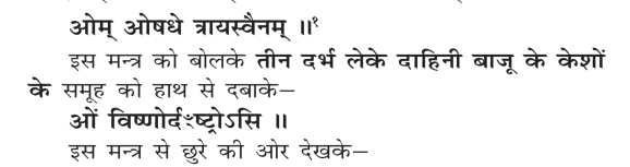 Verses from Sanskar Vidhi of Dayanand Saraswati where worship to Chhura (razor) is mentioned